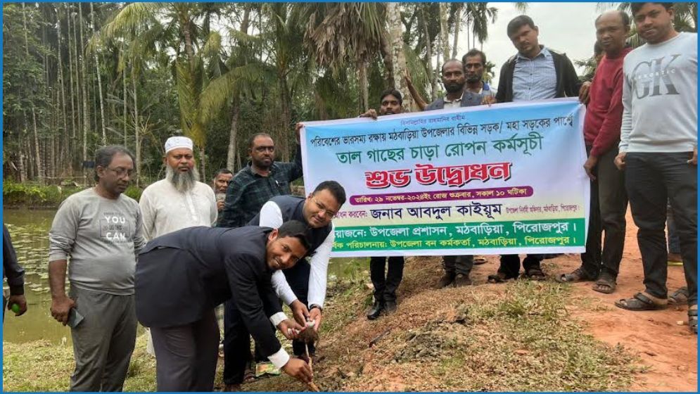 পিরোজপুরে ৬ কিলোমিটার সড়কে তালের বীজ রোপণ