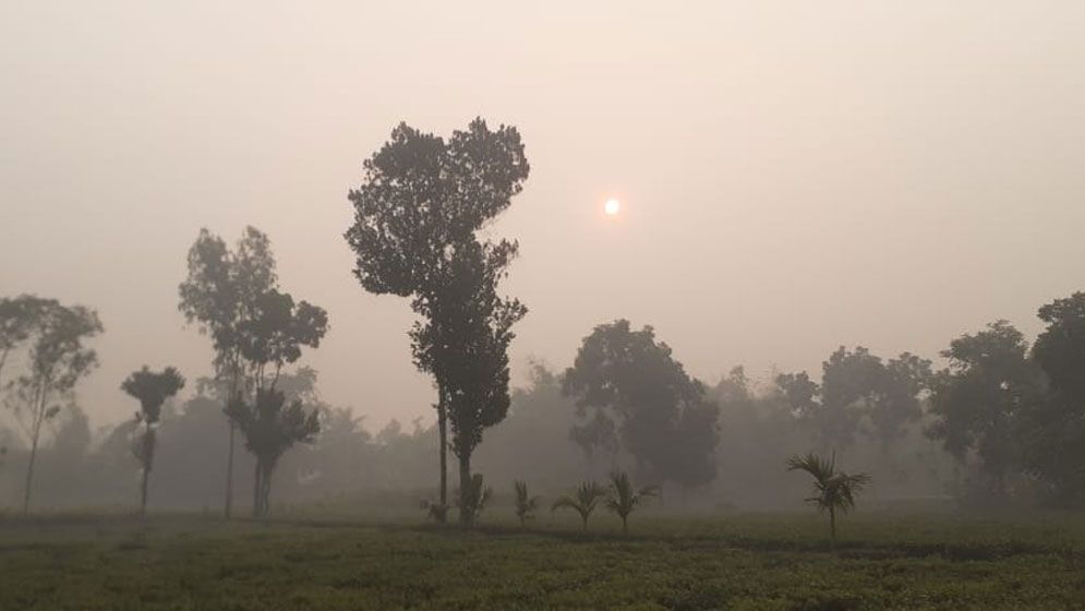 শীতে কাঁপছে পঞ্চগড়, পারদ নামল ১০ ডিগ্রির ঘরে