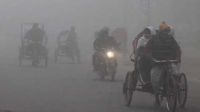 হিমেল হাওয়ায় কাঁপছে মানুষ