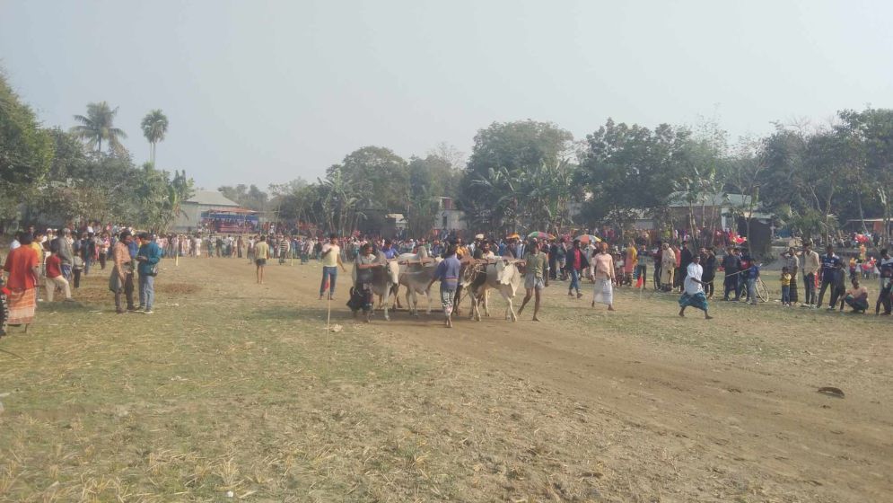 জামালপুরে ঐতিহ্যবাহী মই দৌড় প্রতিযোগিতা