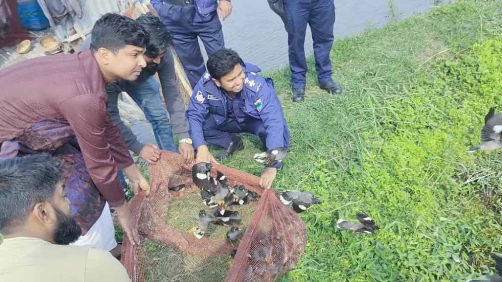 বাগেরহাটে শিকারির ফাঁদে আটকে থাকা ১২০০ পাখি অবমুক্ত