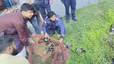 বাগেরহাটে শিকারির ফাঁদে আটকে থাকা ১২০০ পাখি অবমুক্ত