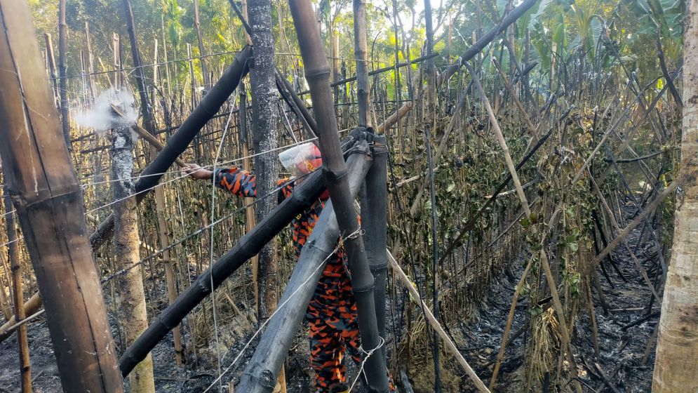 ঝিনাইদহে আগুনে পুড়ল ৩ বিঘা জমির পানের বরজ, নিঃস্ব ৪ চাষি