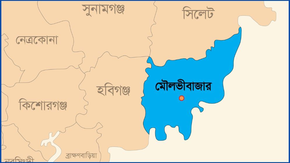 মৌলভীবাজারে ট্রেনে কাটা পড়ে বৃদ্ধ নিহত