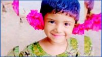 শিশুকে বিষপানে হত্যার অভিযোগ সৎ মায়ের বিরুদ্ধে