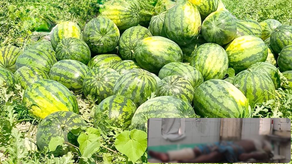 বাউফলে তরমুজবোঝাই ট্রলারে ডাকাতি, আহত ৯