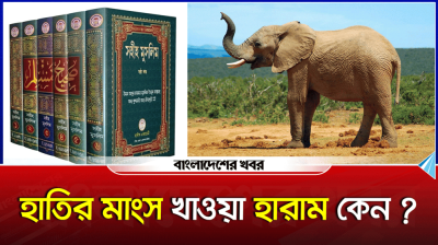 হাতির মাংস খাওয়া হারাম কেন?