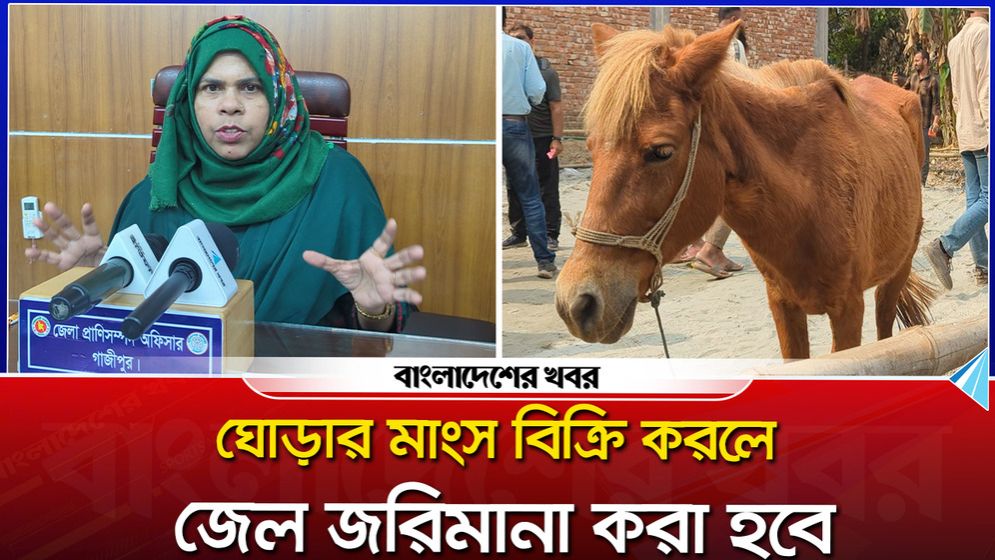 ঘোড়ার মাংস বিক্রি করলে জেল-জরিমানা