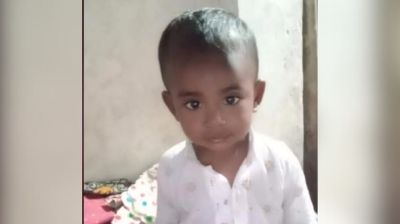 উঠান থেকে ১৯ মাস বয়সী শিশুকে নিয়ে গেল শিয়াল, মিলল মরদেহ