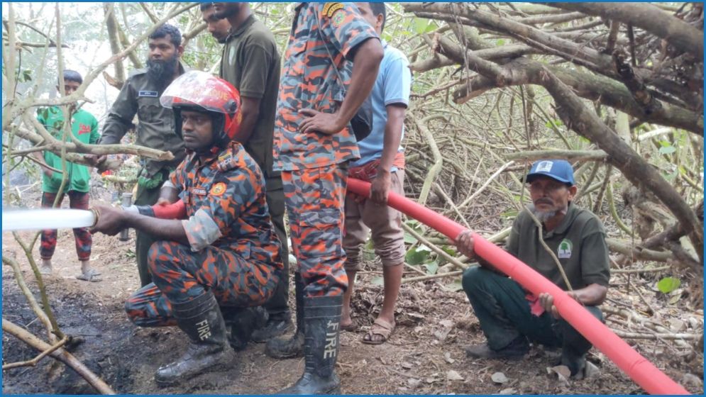 সুন্দরবনের আগুন নিয়ন্ত্রণে, কারণ জানতে তদন্ত কমিটি