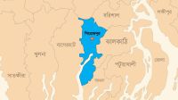 পিরোজপুরে ট্রাকের ধাক্কায় ভ্যানচালক নিহত