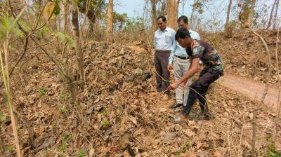 বিরল গন্ধগোকুলকে বনে অবমুক্ত