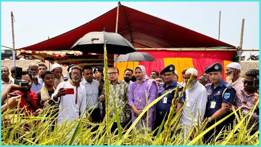 দেশে খাদ্য নিরাপত্তা নিয়ে শঙ্কা নেই : খাদ্য উপদেষ্টা