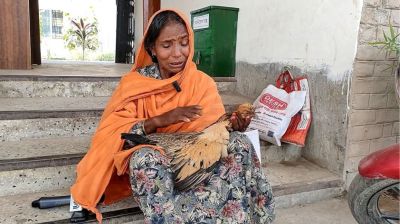 ৫ মুরগি ‘হত্যার’ বিচার চেয়ে নারী থানায়, প্রয়োজনে ময়নাতদন্ত