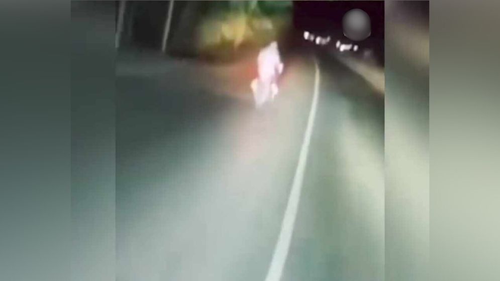 ঈদের রাতে কী ঘটেছিল কুমিল্লা-নোয়াখালী মহাসড়কে?