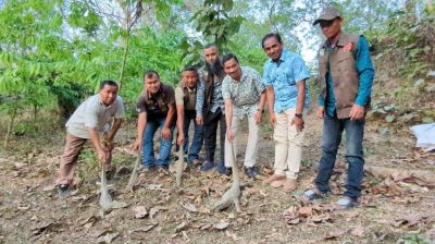 খাগড়াছড়িতে বিলুপ্ত গুইসাপ উদ্ধার, সংরক্ষিত বনে অবমুক্ত