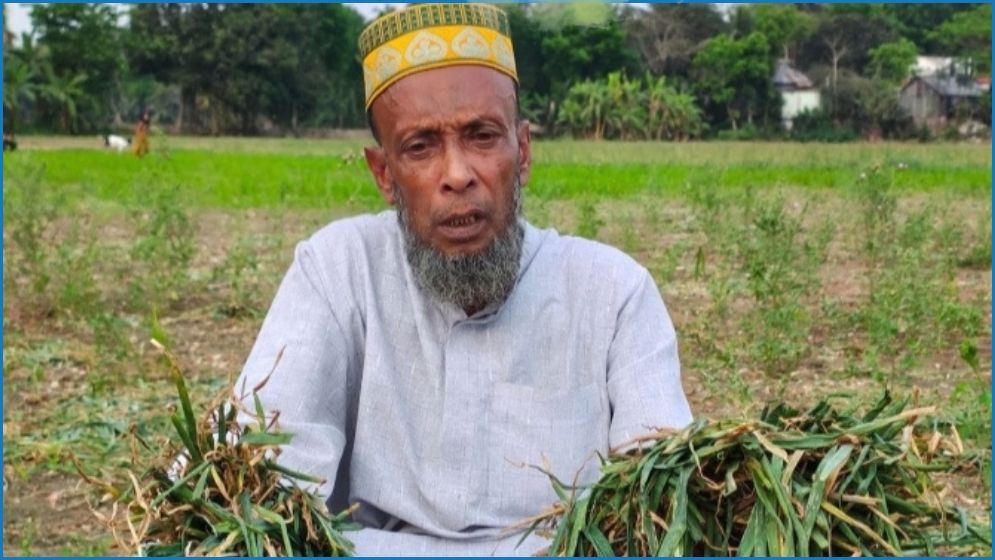 ‘আ.লীগের জন্য দেশ ছেড়েছিলাম, বিএনপির জন্য ঘর ছাড়লাম’