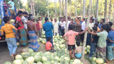 বাগেরহাটে তরমুজ চাষিদের পাশে বিএনপি নেতা