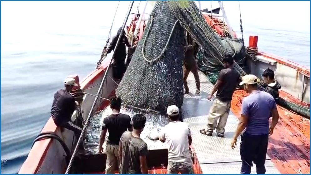 মঙ্গলবার থেকে বঙ্গোপসাগরে মাছ ধরা নিষেধাজ্ঞা