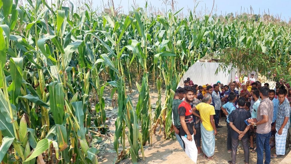 শেরপুরে ভুট্টা ক্ষেত থেকে দিনমজুরের মরদেহ উদ্ধার