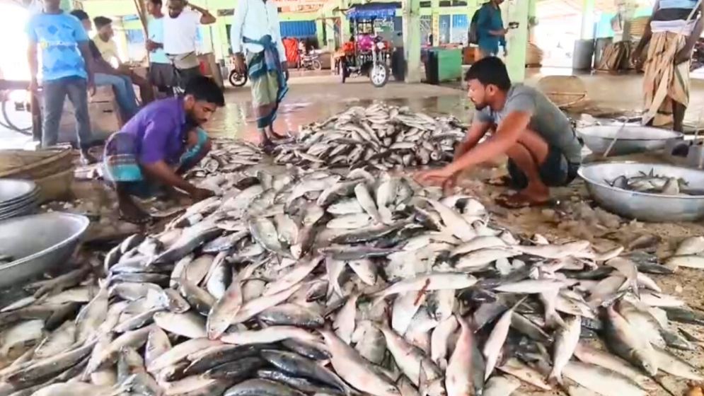 পহেলা বৈশাখে আকাশচুম্বী ইলিশের দাম