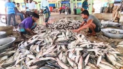 পহেলা বৈশাখে আকাশচুম্বী ইলিশের দাম