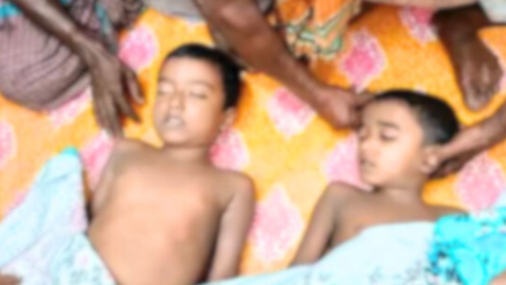 লালমোহনে পুকুরে ডুবে দুই শিশুর মৃত্যু