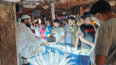 নববর্ষে মানিকগঞ্জে ইলিশের দাম স্বাভাবিক, স্বস্তিতে ক্রেতারা
