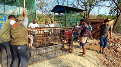 ৩১ বছর পর বন্ধ হলো বান্দরবানের মেঘলা চিড়িয়াখানা