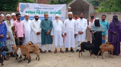 নারী-পুরুষদের স্বাবলম্বী করতে ফেনী জামায়াতের ছাগল বিতরণ