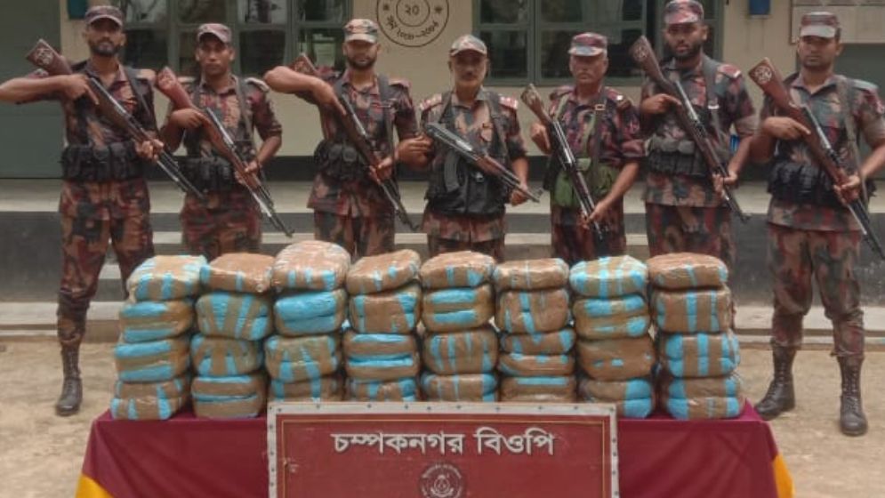 ফেনী সীমান্তে বিপুল পরিমাণ ভারতীয় গাঁজা জব্দ