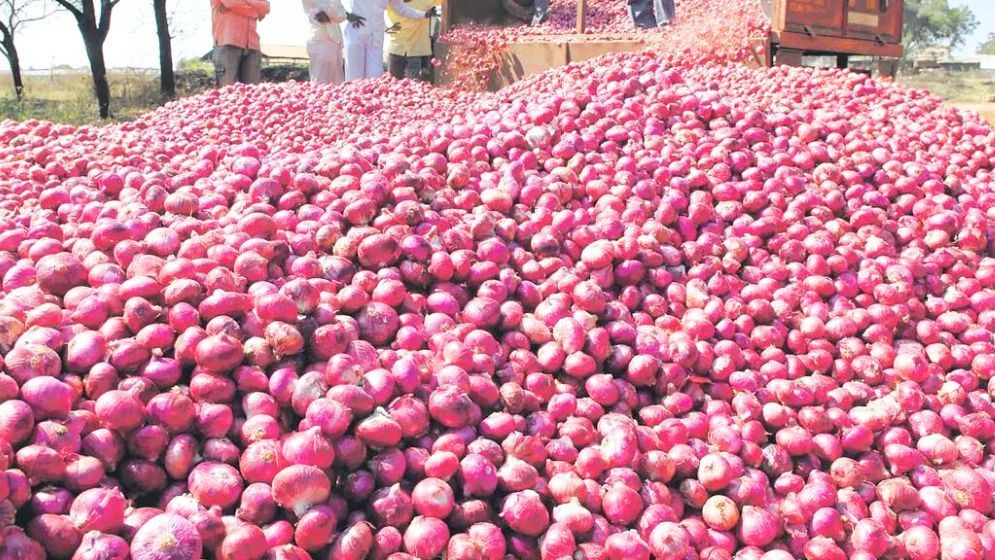 ভরা মৌসুমেই পেঁয়াজের দ্বিগুণ দাম