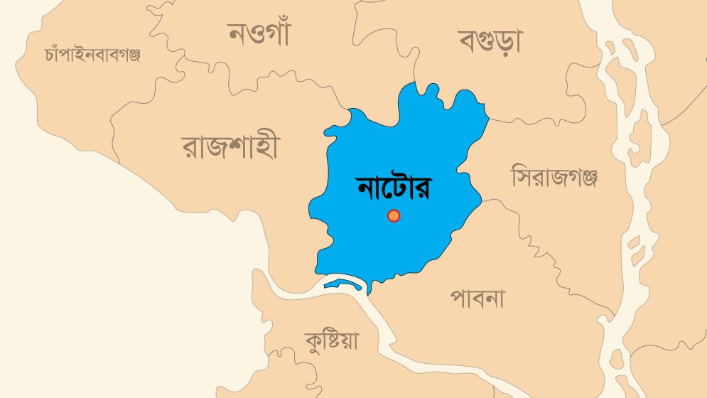 নলডাঙ্গায় ইজিবাইক উল্টে এসএসসি পরীক্ষার্থী নিহত