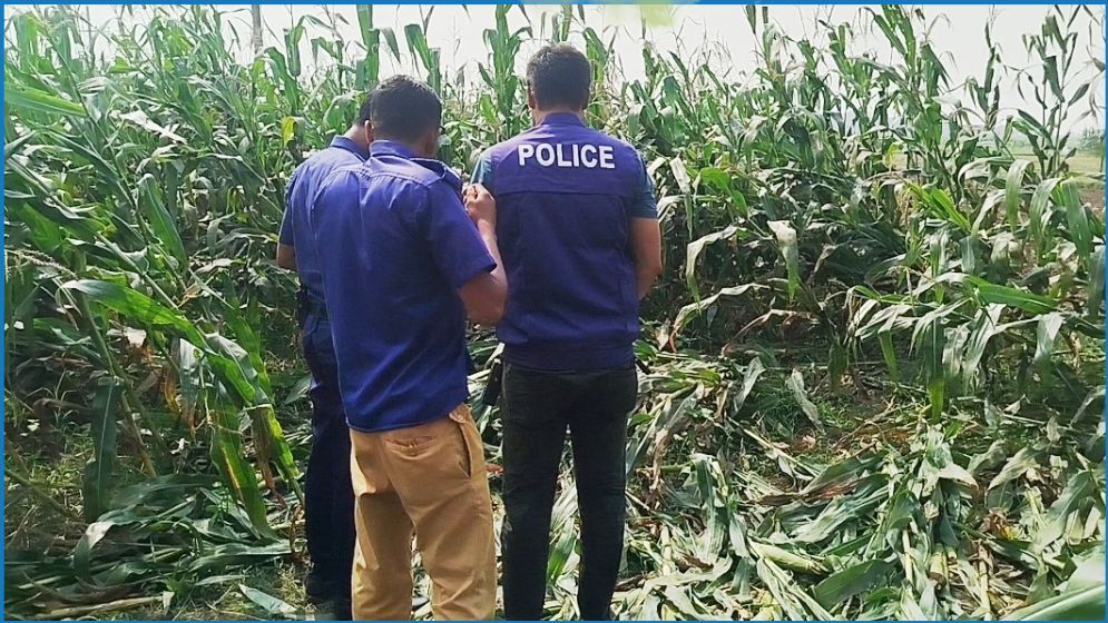 ভুট্টাক্ষেতে মিলল অজ্ঞাত ব্যক্তির মরদেহ