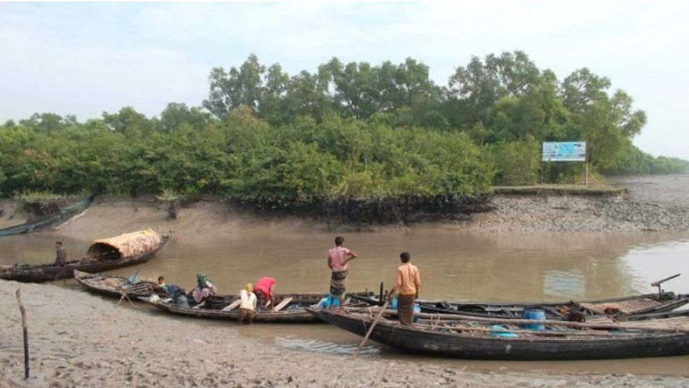 সুন্দরবনে বন কর্মকর্তাদের ‘ম্যানেজ’ করে বিষ দিয়ে মাছ শিকার