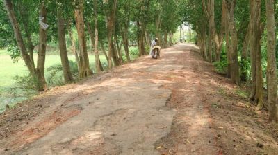 পরশুরাম পৌরসভার বেহাল রাস্তার সংস্কার জরুরি