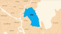 একই রশিতে ঝুলছিল মা-ছেলের লাশ