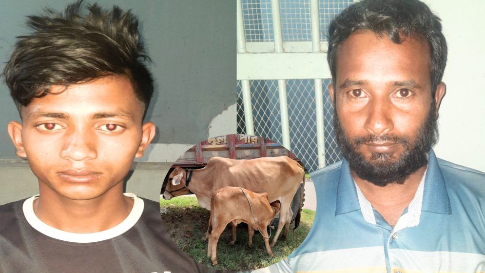 চাঁপাইনবাবগঞ্জে গরু চুরি, গ্রেপ্তার ২