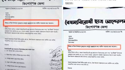 কিশোরগঞ্জে বৃক্ষরোপণে অর্থচেয়ে বৈষম্যবিরোধী ছাত্র আন্দোলনের চিঠি