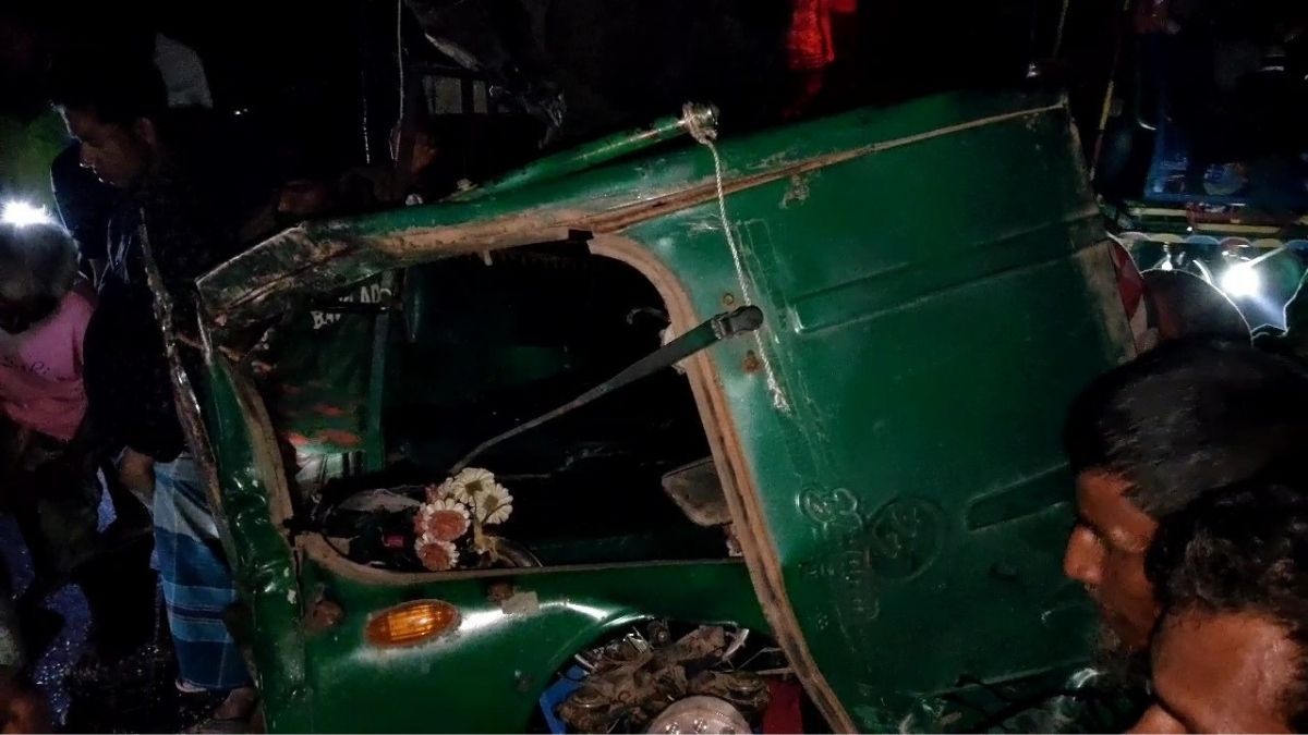 শেরপুরে ট্রাকচাপায় ইজিবাইক চালক নিহত