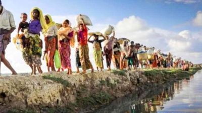 প্রতিদিন গড়ে অনুপ্রবেশ করছে ২২০ রোহিঙ্গা