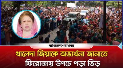 দুই পুত্রবধূসহ ফিরোজায় খালেদা জিয়া, অভ্যর্থনা জানাতে উপচেপড়া ভিড়