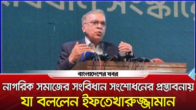নাগরিক সমাজের সংবিধান সংশোধনের প্রস্তাবনায় যা বললেন ইফতেখারুজ্জামান