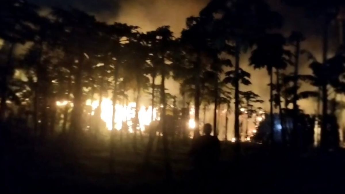 কালীগঞ্জে পানের বরজে আগুন, ৭ লাখ টাকার ক্ষয়ক্ষতি