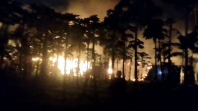 কালীগঞ্জে পানের বরজে আগুন, ৭ লাখ টাকার ক্ষয়ক্ষতি
