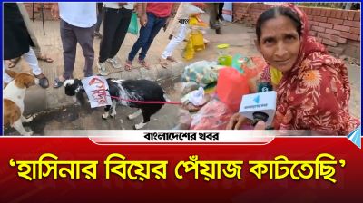 ‘হাসিনার বিয়ের পেঁয়াজ কাটতাছি’
