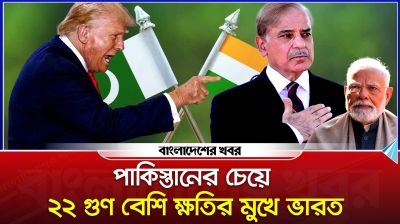 পাকিস্তানের চেয়ে ২২ গুণ বেশি ক্ষতির মুখে ভারত