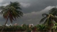 কালবৈশাখীতে গাছের ডাল ভেঙে র‍্যাব সদস্য নিহত