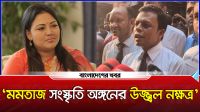 শাস্তি কমাতে যেসকল যুক্তি তুলে ধরলেন মমতাজের আইনজীবী
