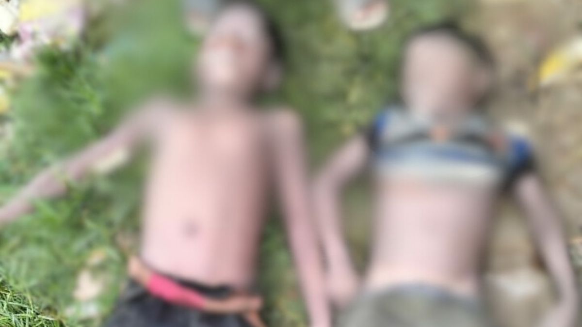 আশুলিয়ায় পুকুরে ভাসছিল ২ শিশুর মরদেহ